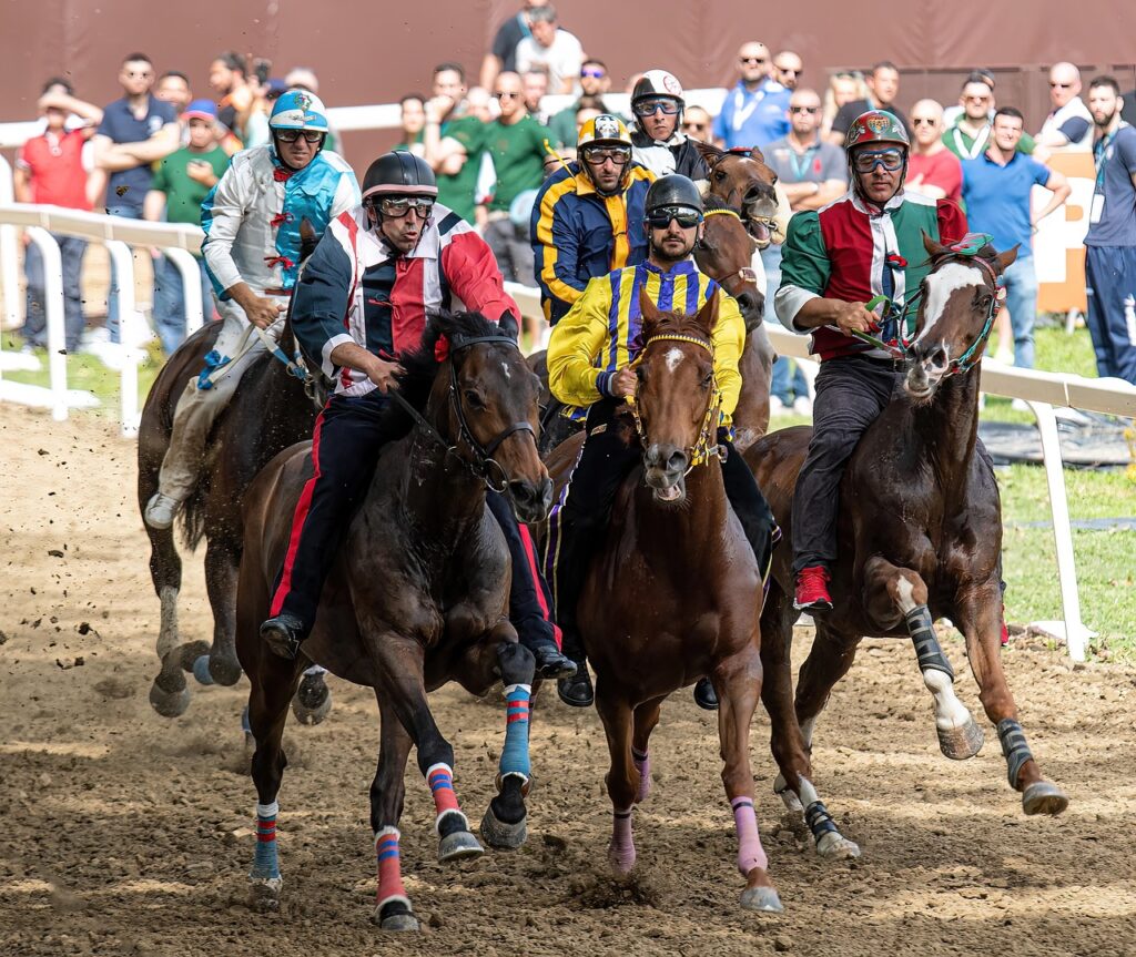 De beste wedstrategieën voor beginnende paardenrace gokkers